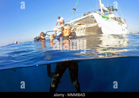 Scuba Diver Oberflächen in den Gewässern vor Oahu, Hawaii, USA Stockfoto