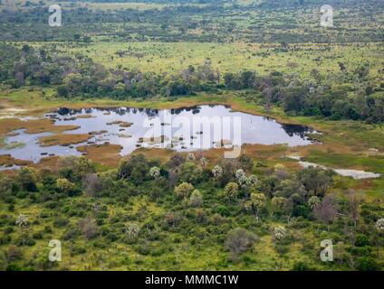 Luftbild des Okavango Delta in Botswana im Sommer Stockfoto