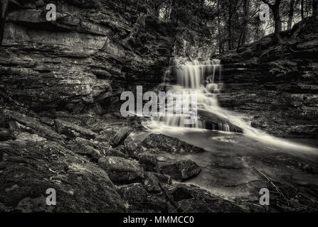 Honig laufen fällt in Central Ohio in Schwarz und Weiß. Hübschen kleinen abgelegenen Wasserfall in einem versteckten Schlucht. Stockfoto