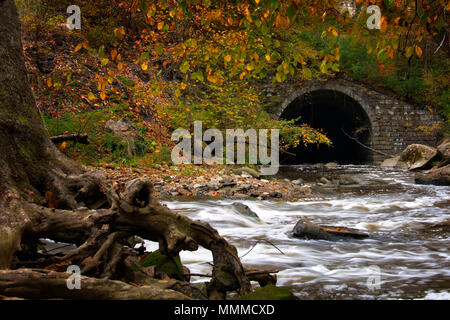 Schönen Herbst Szene bei der Tinker Creek Viadukt in Cleveland, Ohio. Stockfoto