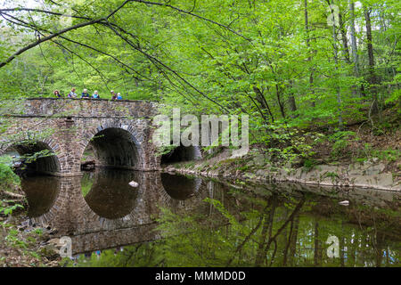 Steinerne Brücke und Pidcock Creek im Garten in Bucks County mit einheimischen Pflanzen und Blumen, Bowman's Hill Wildflower bewahren, New Hope, Pennsylvania, USA Stockfoto