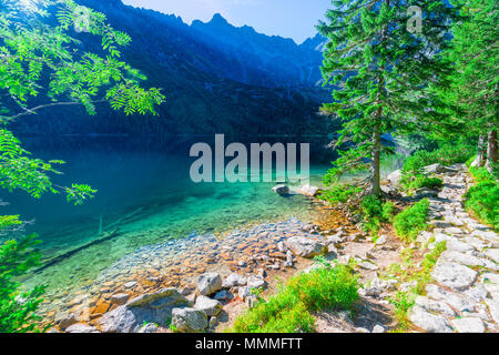 Transparente türkise Wasser Meer Auge der See in den Bergen der Hohen Tatra, Polen, Stockfoto