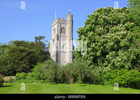 St. Peter und Paul Kirche, Charing, Kent, im Frühjahr mit herrlichen Blüte Rosskastanie (Aesculus hippocastranum), England, GB, UK Stockfoto