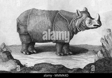 . Englisch: Nashorn im Iran 1670 s فارسی: کرگدن در ایران. 1670 s. Jean Chardin (1643-1713) Alternative Namen Joan Chardin, Jean-Baptiste Chardin, Sir John chardin Beschreibung Französisch Explorer und Historiker Geburtsdatum / Tod 26. November 1643 vom 26. Januar 1713 Ort der Geburt / Todes Paris London Arbeiten Standort Paris, Iran, Indien, Paris, Smyrna und Konstantinopel, Halbinsel Krim, Kaukasus, Antioquia, Georgia, Isfahan, Indien, Paris, London Authority control: Q 714834 VIAF:?:? ISNI 49223162 0000 0001 0898 3265 82080215 LCCN:?n NLA:?? 119384086 35027406 GND: WorldCat 38 Chardin Nashorn Stockfoto