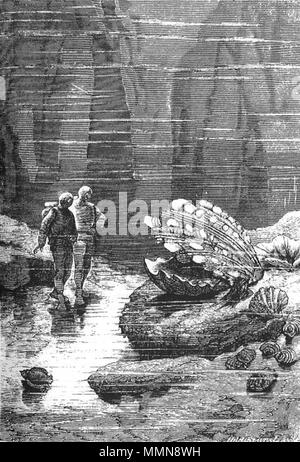 . Englisch: Eine Illustration von Jules Vernes Roman "20 000 Meilen unter dem Meer" (1866-69) gezeichnet von George Roux. Polski: Ilustracja powieści Juliusza Verne' Ein 'Dwadzieścia tysięcy Mil podmorskiej żeglugi' (tytuł przekładany także Jako: "wadzieścia tysięcy Mil podmorskiej żeglugi około świata', '20.000 Mil podmorskiej żeglugi'; 1866-69, ich wyd. 1870) autorstwa Alphonse'a de Neuville lub Édouarda Riou. Français: Jules Verne "Vingt mille lieues Sous les mers" (1866-69), Dessins par Alphonse De Neuville ou Édouard Riou. Diese Datei wurde hochgeladen mit Commonist. Orginal Beschreibung tak Stockfoto