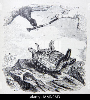 . Français: Abbildungen des fr: Fabeln von La Fontaine. . Zwischen 1838 und 1840. J.J. Grandville 10-3-La-tortue-et-les-deux-Canards Stockfoto