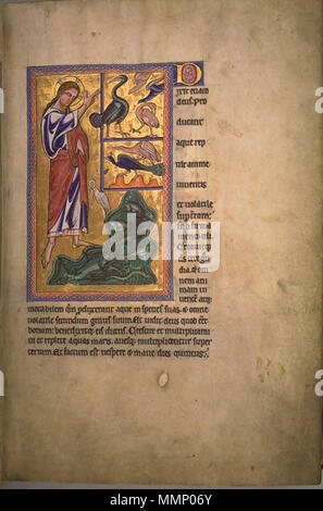 . Folio 2 recto vom Aberdeen Bestiary. Entstehung der Vögel und Fische.. 12. Jahrhundert. 24 AberdeenBestiaryFolio 002 rCreationOfBirdsFish Stockfoto