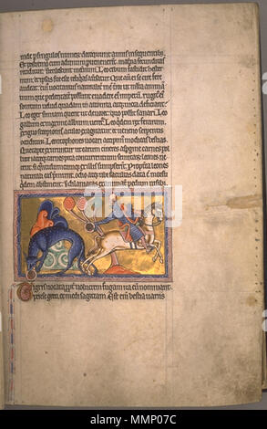 . Folio 8 recto vom Aberdeen Bestiary. Der Tiger.. 12. Jahrhundert. 24 AberdeenBestiaryFolio008 rTiger Stockfoto