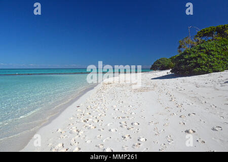 White Sand Beach an der Shark Bay, Heron Island, Great Barrier Reef, Queensland, Australien Stockfoto