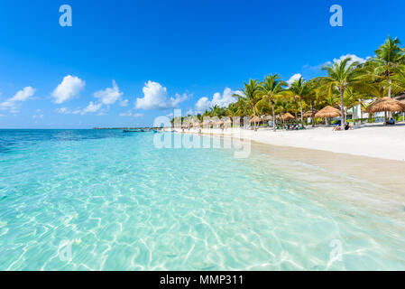 Akumal Beach-Paradise Bay Beach in Quintana Roo, Mexiko - Karibische Küste Stockfoto