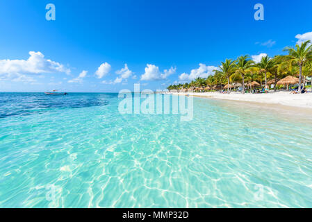 Akumal Beach-Paradise Bay Beach in Quintana Roo, Mexiko - Karibische Küste Stockfoto
