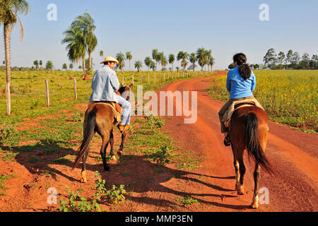 Touristische genießt einen Ausflug zu Pferde mit einem Führer auf einem Hof in das Pantanal Feuchtgebiet, Mato Grosso do Sul, Brasilien Stockfoto