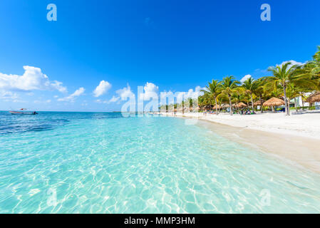 Akumal Beach-Paradise Bay Beach in Quintana Roo, Mexiko - Karibische Küste Stockfoto