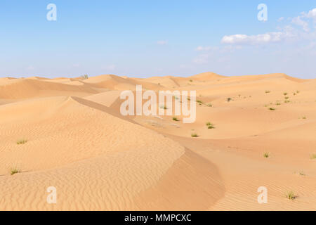 Wüste Landschaft im Dubai Desert Conservation Reserve, ersten Nationalpark der VEREINIGTEN ARABISCHEN EMIRATE, auf die Erhaltung der einzigartigen und wunderschönen Wüste Lebensraum gewidmet Stockfoto