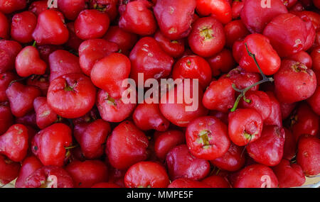 Java Apple (apple) am lokalen Markt auf Mauritius Insel. Stockfoto