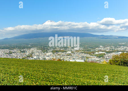 Herrliche Aussicht auf den Berg Fuji mit grünem Tee Plantage. Fuji City, Präfektur Shizuoka, Japan. Stockfoto