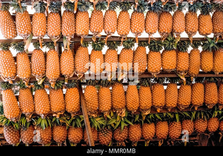 Goldene Ananas frisch vom Feld geschnitten sind für Verkauf an den Ständen in Imbulgoda entlang einer Landstraße in der Nähe von Kandy in Sri Lanka Südasien angezeigt. Das leckere Obst, bekannt als annasi, ist eine beliebte Zutat in der Küche Sri Lankas. Zu den bekanntesten Gerichten ist süß und sauer Ananas Curry, eine köstliche Gebräu aus Ananas Würfel in würziger Kokosmilch Soße gekocht. Stockfoto