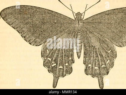 "Erste [-9] Jahresbericht über die schädliche, wohltuende und andere Insekten, des Staates Missouri, dem Zustand der Landwirtschaft, die aufgrund der Mittel für diesen Zweck von der Legislative des Staates" (1869) Stockfoto