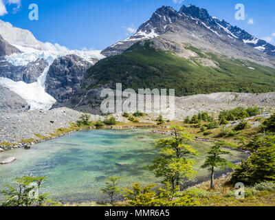 Gletscher Los Perros, kleinen See, O-trail, Torres del Paine Nationalpark, Patagonien, Chile Stockfoto