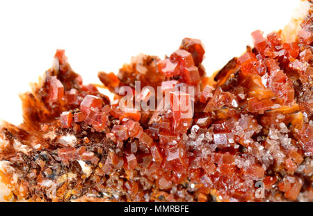 Red Vanadinite Kristalle (vanadate und Chlorid von Blei) Stockfoto