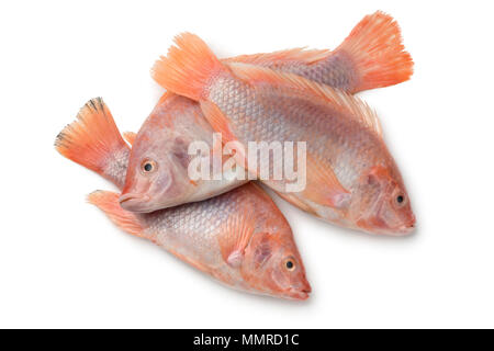 Frische rohe rote Tilapia Fische auf weißem Hintergrund Stockfoto