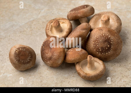 Haufen von frischen, rohen Shiitake Pilze Stockfoto