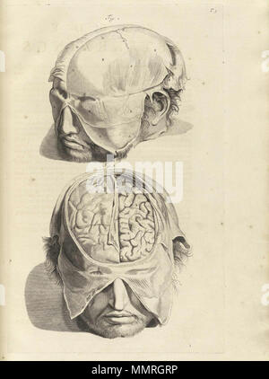 . Govard Bidloo, (1649-1713): Ontleding des menschelyken lichaams Amsterdam, 1690. (= niederländische Sprache Edition von Anatomia Humani Corporis, 1685). Gerard de Lairesse (Zeichnungen), Abraham Blooteling, Pieter Stevens van Gunst (GRAVEURE)/Scans von NLM Bidloo Ontleding 1690 05. Stockfoto