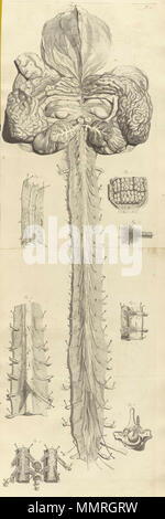 . Govard Bidloo, (1649-1713): Ontleding des menschelyken lichaams Amsterdam, 1690. (= niederländische Sprache Edition von Anatomia Humani Corporis, 1685). Gerard de Lairesse (Zeichnungen), Abraham Blooteling, Pieter Stevens van Gunst (GRAVEURE)/Scans von NLM Bidloo Ontleding 1690 10. Stockfoto