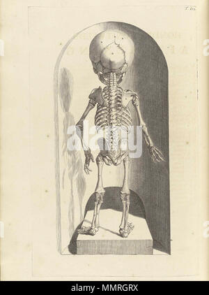 . Govard Bidloo, (1649-1713): Ontleding des menschelyken lichaams Amsterdam, 1690. (= niederländische Sprache Edition von Anatomia Humani Corporis, 1685). Gerard de Lairesse (Zeichnungen), Abraham Blooteling, Pieter Stevens van Gunst (GRAVEURE)/Scans von NLM Bidloo Ontleding 1690 102 Stockfoto