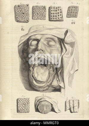 . Govard Bidloo, (1649-1713): Ontleding des menschelyken lichaams Amsterdam, 1690. (= niederländische Sprache Edition von Anatomia Humani Corporis, 1685). Gerard de Lairesse (Zeichnungen), Abraham Blooteling, Pieter Stevens van Gunst (GRAVEURE)/Scans von NLM Bidloo Ontleding 1690 13. Stockfoto