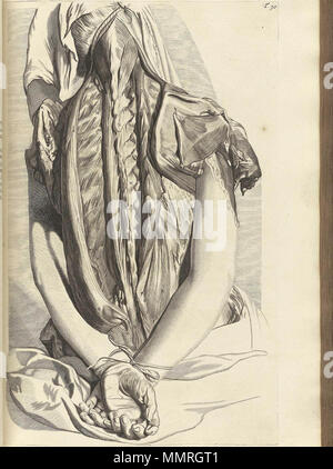 . Govard Bidloo, (1649-1713): Ontleding des menschelyken lichaams Amsterdam, 1690. (= niederländische Sprache Edition von Anatomia Humani Corporis, 1685). Gerard de Lairesse (Zeichnungen), Abraham Blooteling, Pieter Stevens van Gunst (GRAVEURE)/Scans von NLM Bidloo Ontleding 1690 30. Stockfoto