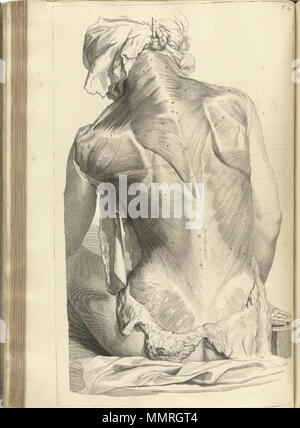 . Govard Bidloo, (1649-1713): Ontleding des menschelyken lichaams Amsterdam, 1690. (= niederländische Sprache Edition von Anatomia Humani Corporis, 1685). Gerard de Lairesse (Zeichnungen), Abraham Blooteling, Pieter Stevens van Gunst (GRAVEURE)/Scans von NLM Bidloo Ontleding 1690 27. Stockfoto