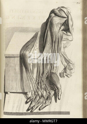 . Govard Bidloo, (1649-1713): Ontleding des menschelyken lichaams Amsterdam, 1690. (= niederländische Sprache Edition von Anatomia Humani Corporis, 1685). Gerard de Lairesse (Zeichnungen), Abraham Blooteling, Pieter Stevens van Gunst (GRAVEURE)/Scans von NLM Bidloo Ontleding 1690 67 Stockfoto