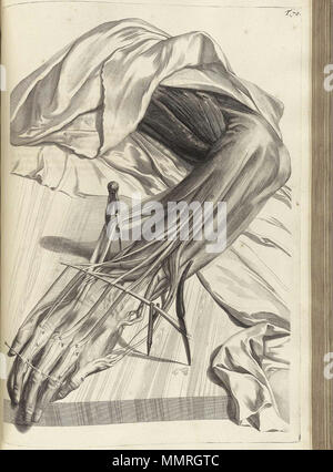 . Govard Bidloo, (1649-1713): Ontleding des menschelyken lichaams Amsterdam, 1690. (= niederländische Sprache Edition von Anatomia Humani Corporis, 1685). Gerard de Lairesse (Zeichnungen), Abraham Blooteling, Pieter Stevens van Gunst (GRAVEURE)/Scans von NLM Bidloo Ontleding 1690 70 Stockfoto