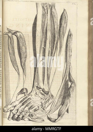 . Govard Bidloo, (1649-1713): Ontleding des menschelyken lichaams Amsterdam, 1690. (= niederländische Sprache Edition von Anatomia Humani Corporis, 1685). Gerard de Lairesse (Zeichnungen), Abraham Blooteling, Pieter Stevens van Gunst (GRAVEURE)/Scans von NLM Bidloo Ontleding 1690 82 Stockfoto