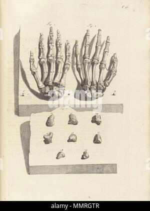 . Govard Bidloo, (1649-1713): Ontleding des menschelyken lichaams Amsterdam, 1690. (= niederländische Sprache Edition von Anatomia Humani Corporis, 1685). Gerard de Lairesse (Zeichnungen), Abraham Blooteling, Pieter Stevens van Gunst (GRAVEURE)/Scans von NLM Bidloo Ontleding 1690 97 Stockfoto