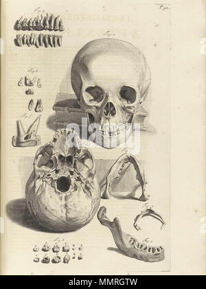 . Govard Bidloo, (1649-1713): Ontleding des menschelyken lichaams Amsterdam, 1690. (= niederländische Sprache Edition von Anatomia Humani Corporis, 1685). Gerard de Lairesse (Zeichnungen), Abraham Blooteling, Pieter Stevens van Gunst (GRAVEURE)/Scans von NLM Bidloo Ontleding 1690 92 Stockfoto