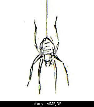 . Englisch: Blake-Job 6-Spider 1. 10 Juli 2013, 08:37:25. William Blake (1757 - 1827) Alternative Namen W. Blake; Uil" iam Bleik Beschreibung britische Maler, Dichter, Schriftsteller, Theologe, Sammler und Graveur Geburtsdatum / Tod 28. November 1757 12. August 1827 Ort der Geburt / Todes Broadwick Street Charing Cross Standort London Authority control: Q 41513 VIAF:?:? ISNI 54144439 0000 0001 2096 135 X ULAN:?? n 500012489 LCCN: 78095331 NLA:? 35019221 WorldCat Dies ist ein treuer fotografische Reproduktion eines zweidimensionalen, public domain Kunstwerk. Das Kunstwerk selbst ist in der Stockfoto
