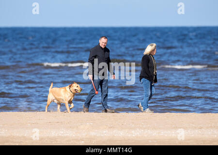 Southport, Großbritannien. 13. Mai 2018. Einen schönen, sonnigen und warmen Start in den Tag für den Hund Wanderer mit ihrem Hündchen für einen Spaziergang am goldenen Sandstrand von Southport Strand in Merseyside. Credit: cernan Elias/Alamy leben Nachrichten Stockfoto