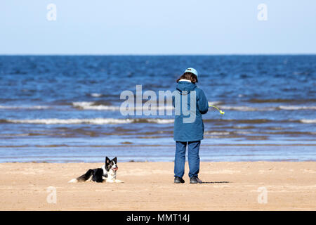 Southport, Großbritannien. 13. Mai 2018. Einen schönen, sonnigen und warmen Start in den Tag für den Hund Wanderer mit ihrem Hündchen für einen Spaziergang am goldenen Sandstrand von Southport Strand in Merseyside. Credit: cernan Elias/Alamy leben Nachrichten Stockfoto