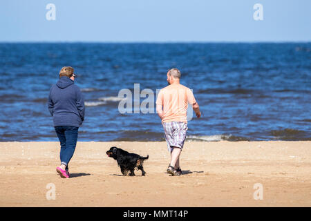 Southport, Großbritannien. 13. Mai 2018. Einen schönen, sonnigen und warmen Start in den Tag für den Hund Wanderer mit ihrem Hündchen für einen Spaziergang am goldenen Sandstrand von Southport Strand in Merseyside. Credit: cernan Elias/Alamy leben Nachrichten Stockfoto