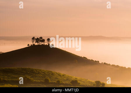 Bridport, Dorset, Großbritannien. 13. Mai 2018. UK Wetter: Die kultige Symondsbury Colmers Hügel, in der Nähe von Bridport in Dorset ist gegen den Himmel als Silhouette am frühen Morgen der Nebel hebt die Ankunft von mehr nieder Wetter über die kommende Woche zu signalisieren. Credit: DWR/Alamy Leben Nachrichten. Stockfoto