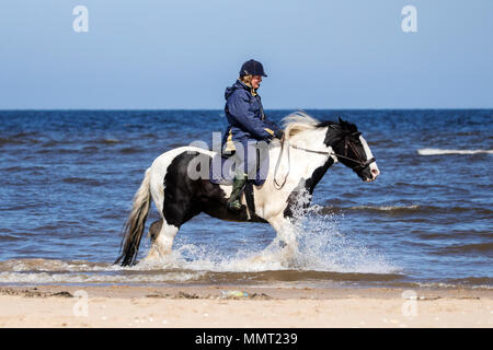 Southport, Merseyside. 13. Mai 2018. UK Wetter. Maria Wilkins von Chorley Fahrten ihren Geliebten 8-Jährigen cob 'Patch' entlang der Flut am goldenen Sandstrand von Southport Strand in Merseyside. Credit: cernan Elias/Alamy leben Nachrichten Stockfoto