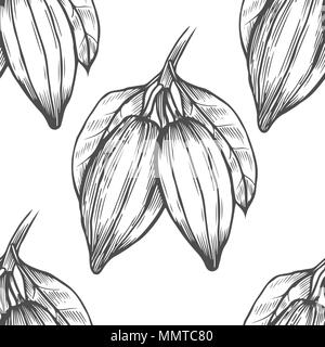 Vektor Kakaobaum Abbildung. Vintage Hintergrund mit Hand mit Blättern, flowres, Früchte und Bohnen gezogen. Botanische nahtlose Muster. Duftig und Stock Vektor