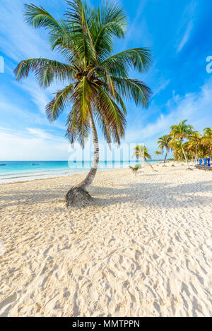 Paradise Beach auch genannt Playa Paraiso bei Sonnenaufgang - Schöne und tropische karibische Küste von Tulum, Quintana Roo, Riviera Maya, Mexiko Stockfoto