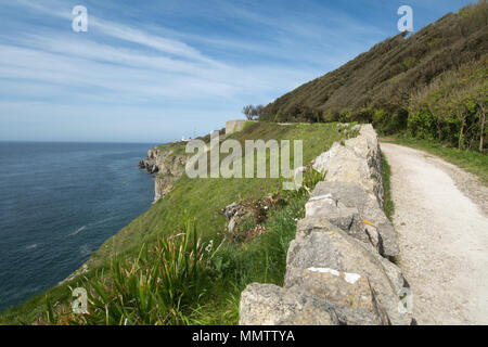 Küstenweg in Durlston Country Park und Naturreservat in Dorset, Großbritannien Stockfoto