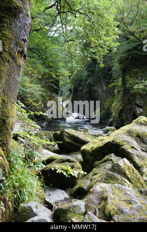 Fairy Glen in Betws-y-Coed, Wales Stockfoto