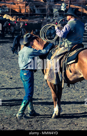 23. MAI 2017 - La Sal Mountains, Utah - Cowboys Marke Vieh in der Nähe von La Sal, Utah an der Route 46 in der Nähe von Colorado-Utah Grenze - in der Nähe der Manti-La Sal National Foest Stockfoto