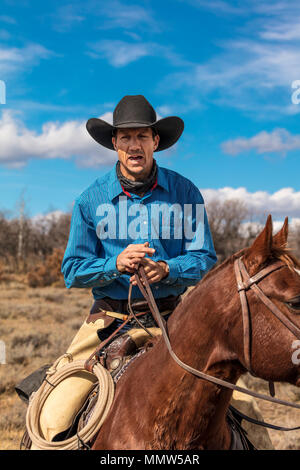 Oktober 2017, Ridgway, Oberst orado: Cowboy o-n Almabtrieb sammeln Angus und Hereford kreuz Kühe und Kälber der doppelten Schuh Cattle Company, Centennial Ranch, San Juan Berge Stockfoto