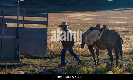 Oktober 4, 2017 - Cowboy mit Pferd im Anhänger, Hastings Mesa, letzten Dollar Ranch, Ridgway, CO Stockfoto